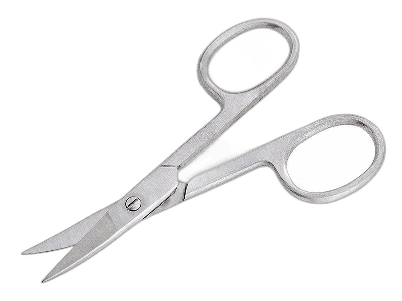 Great Curved Stainless Steal Scissor