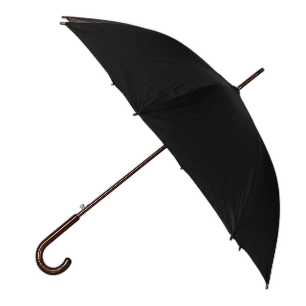 Elegant Black Umbrella