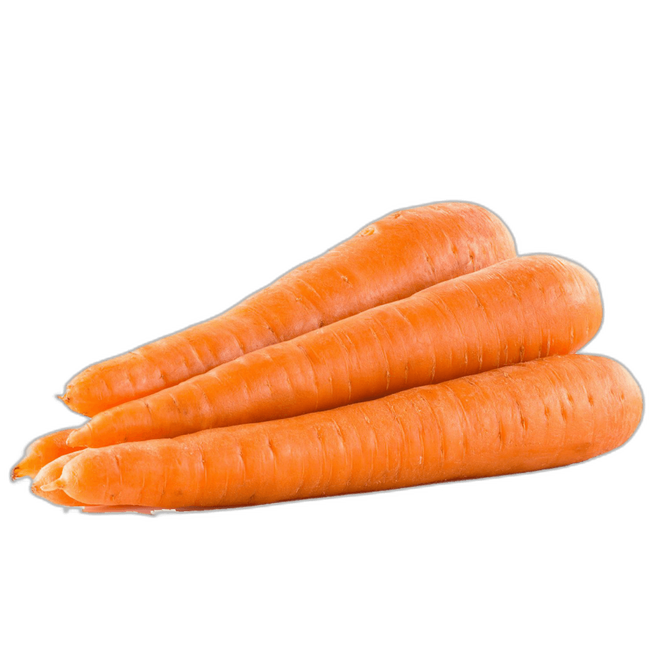 Orange Carrot Vegetable