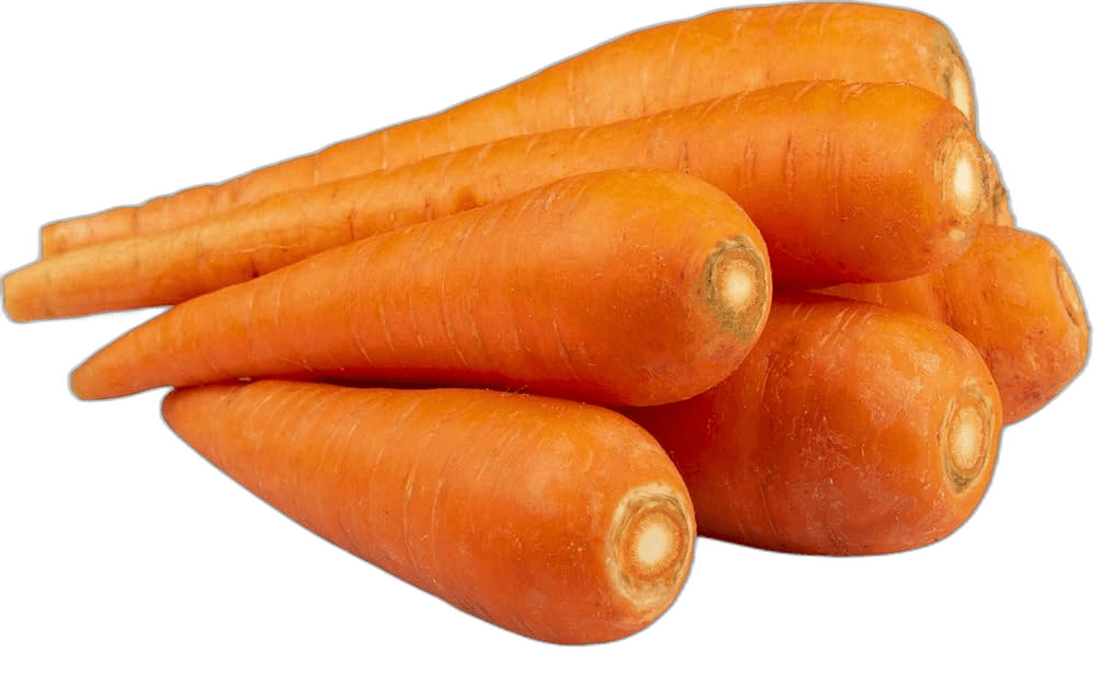 Fresh Organic Carrot