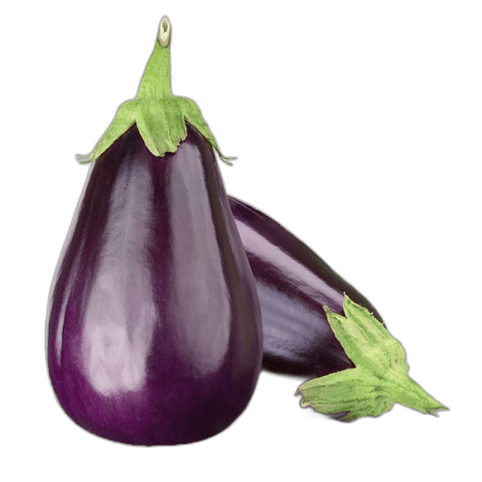 Purple Eggplant Vegetable