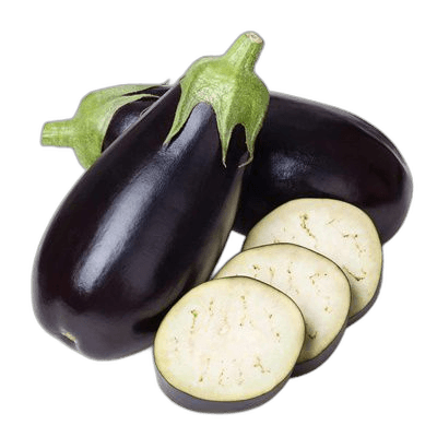 Black Purple Eggplant Vegetable Plant