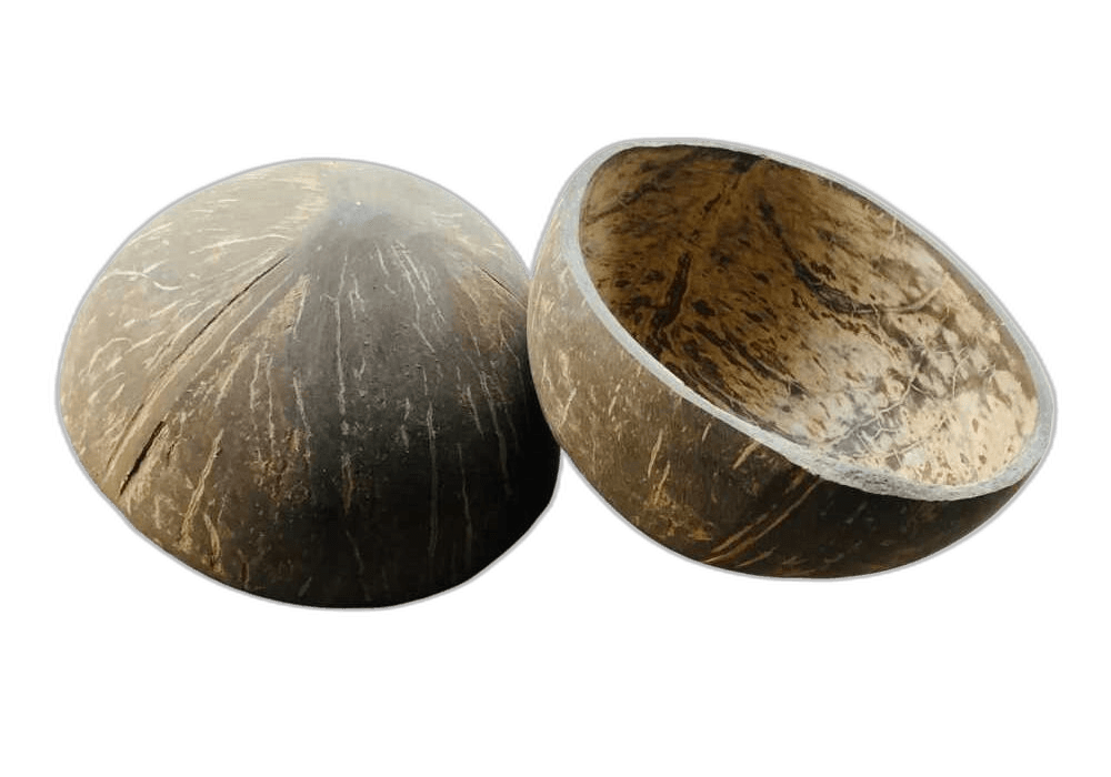 Great Brown Coconut Shell