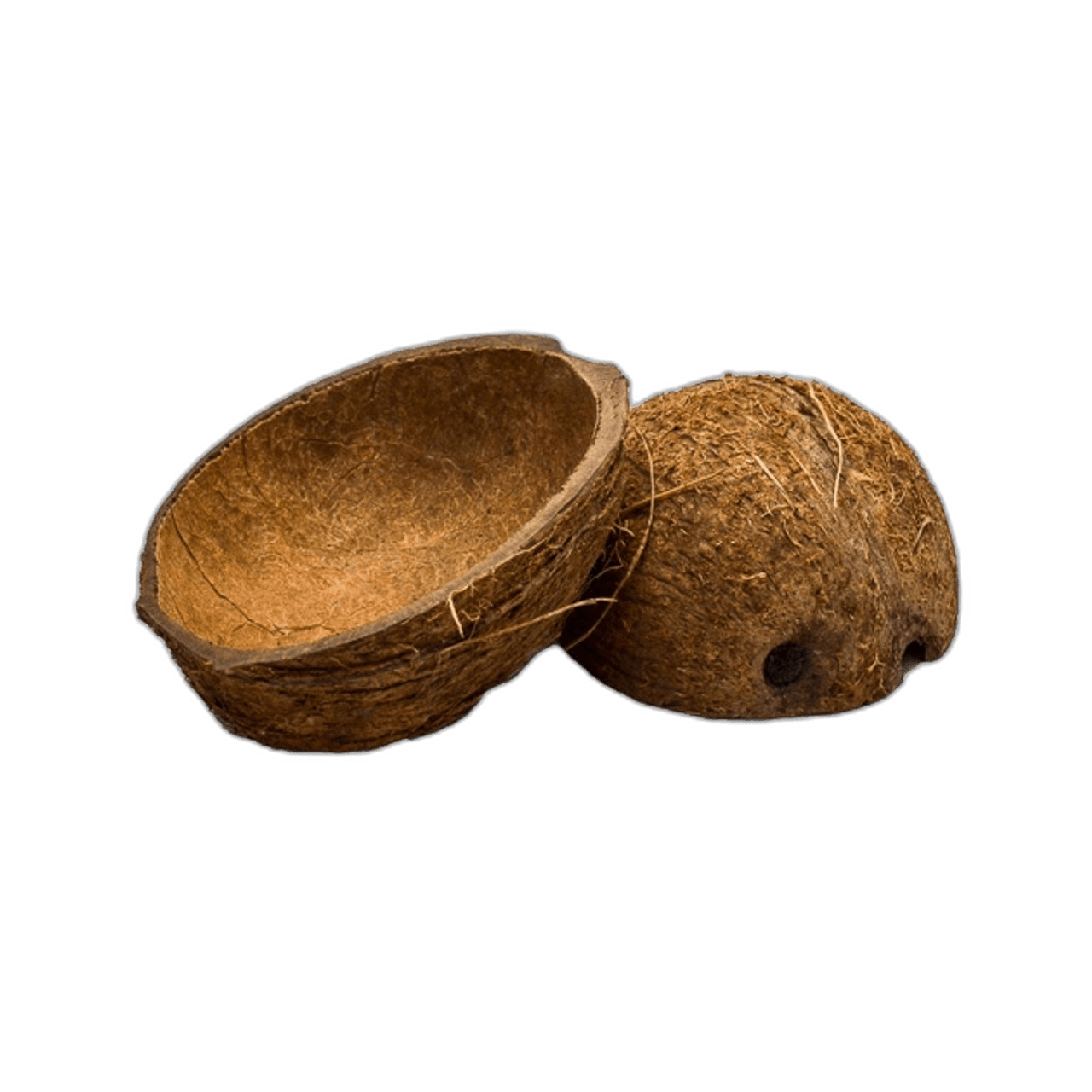 Great Brown Half Coconut Shell