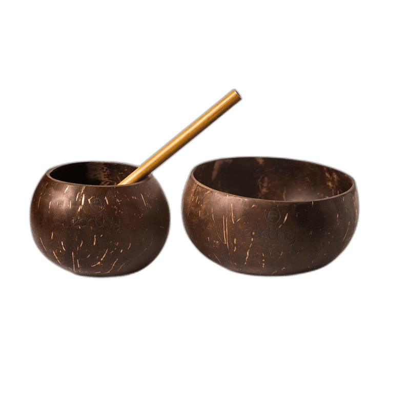 Beautiful Coconut Shell Bowl