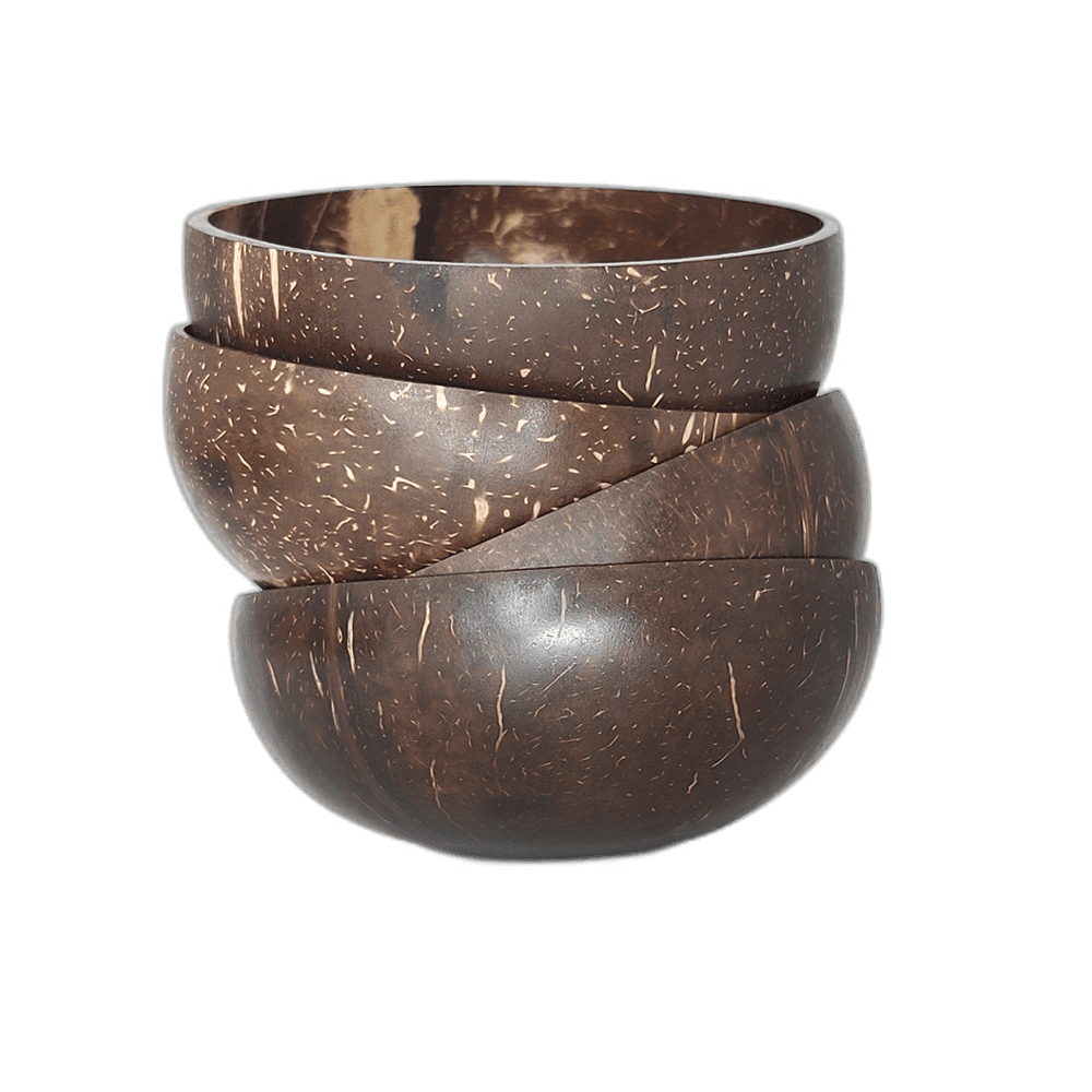 Rustic Coconut Shell Bowl