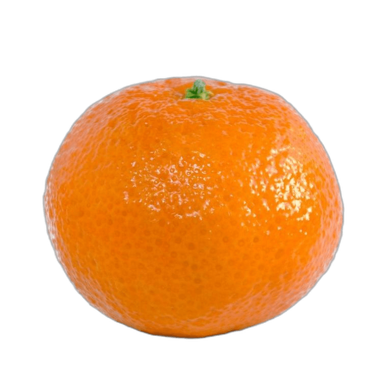 Single Orange Tangerine Fruit