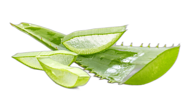 Aloe Vera For Beauty Skin