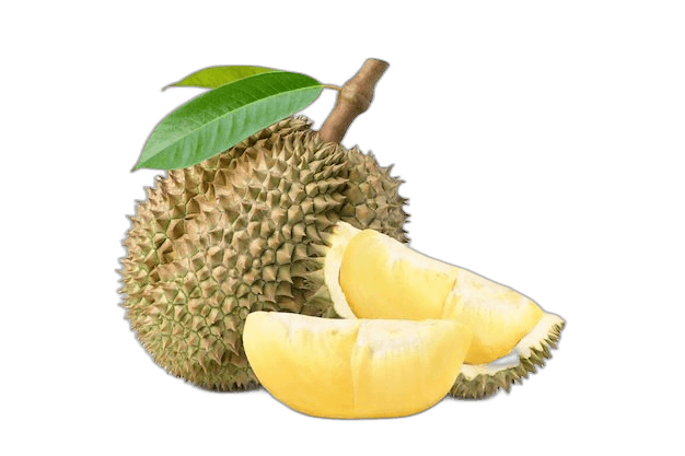 Great Sliced Durian Fruit With Leaves