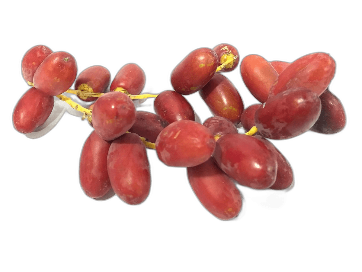 Fresh Dates Fruit For Food