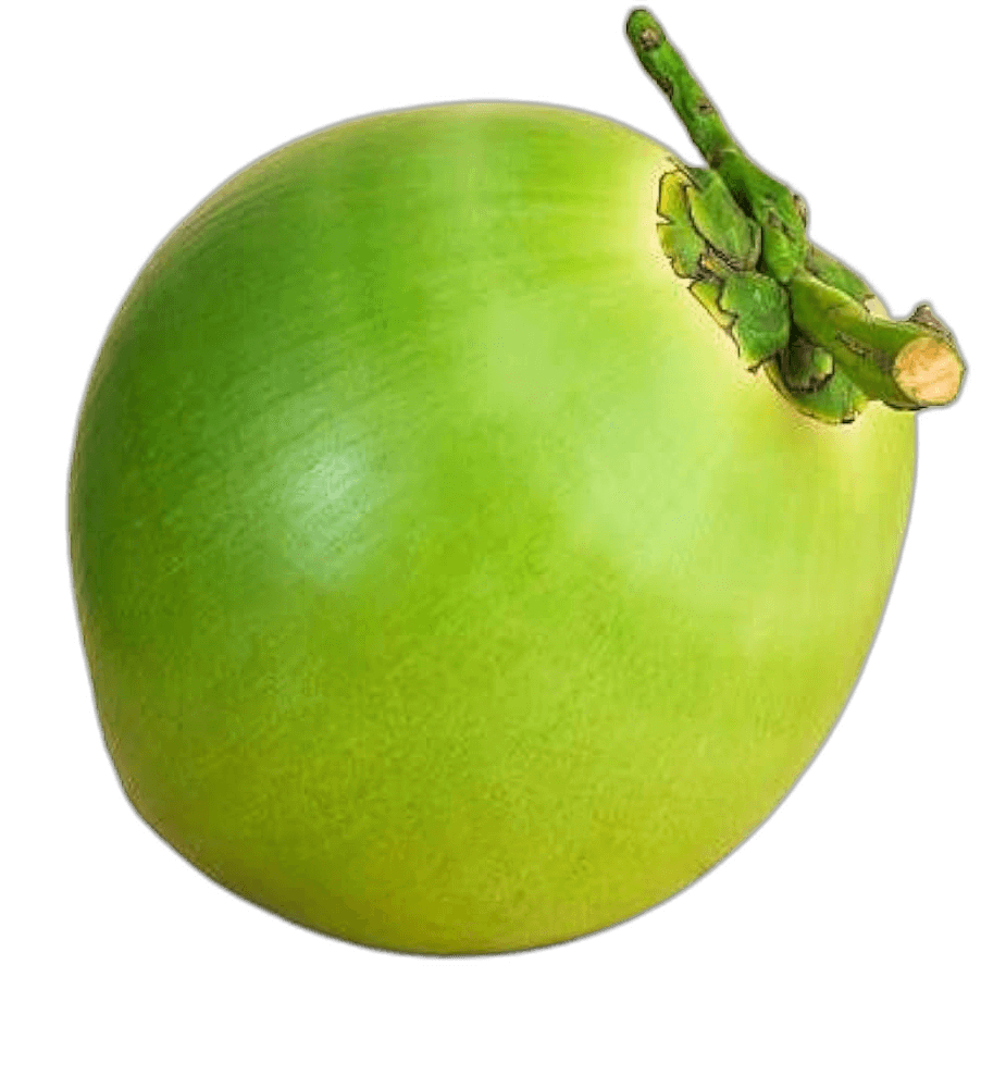 Exotic Green Coconut Fruit