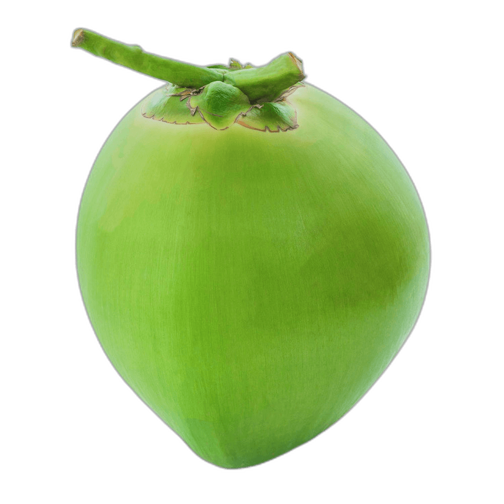 Fresh Organic Green Coconut Fruit