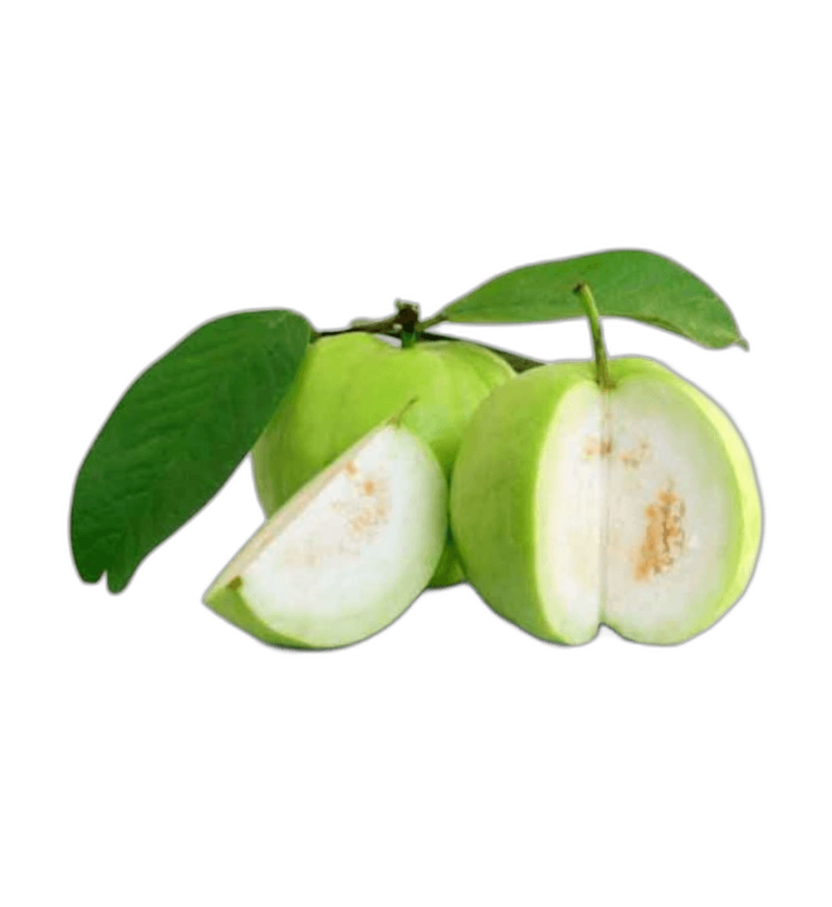 Fresh Green Guava Fruit With Leaves