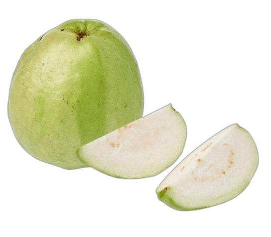 Great White Guava Fruit