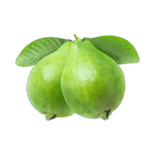 Double Green Guava Fruit