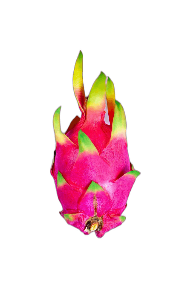 Exotic Dragon Fruit