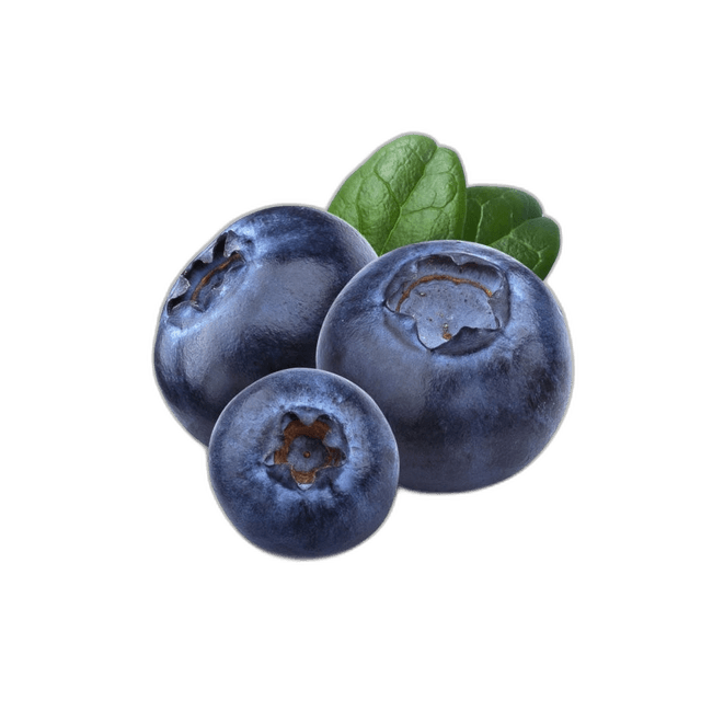 Fresh Blueberry Fruit