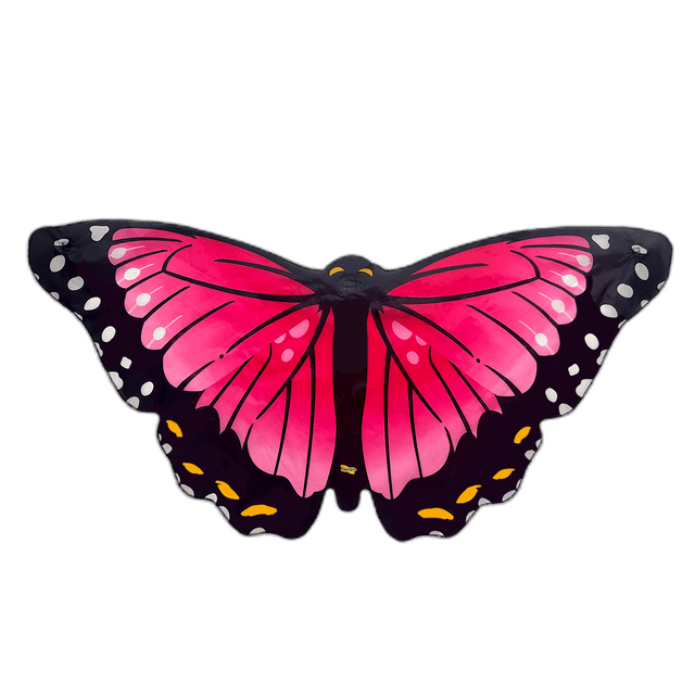 Beautiful Pink Butterfly Wings