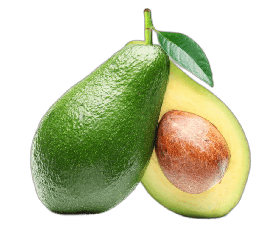 Sweet Green Avocado Fruit