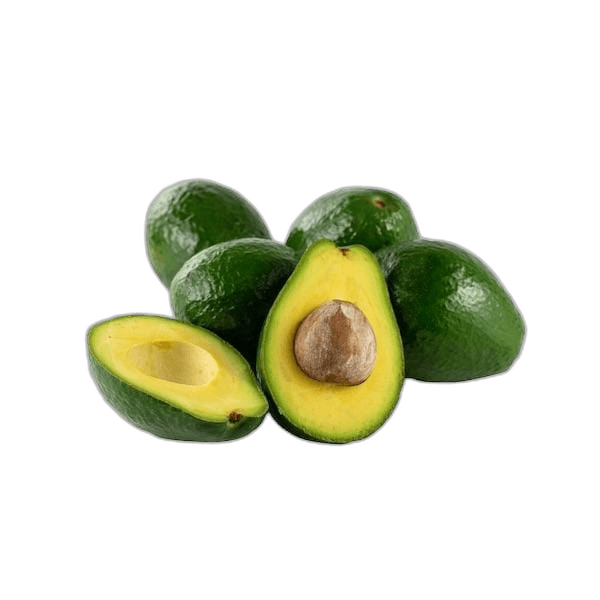 Great Green Avocado Fruit