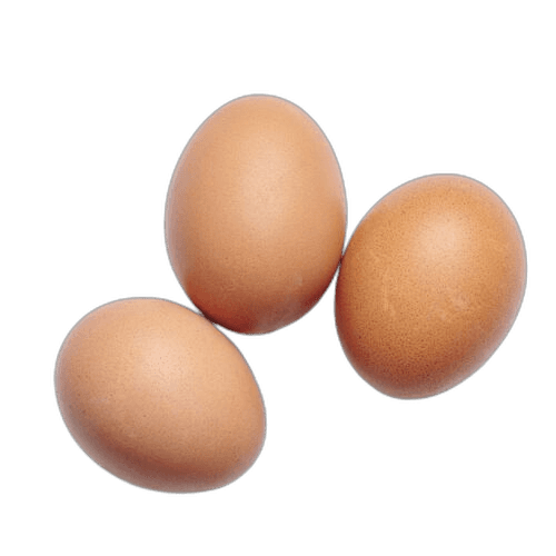 Brown Chicken Eggs Food