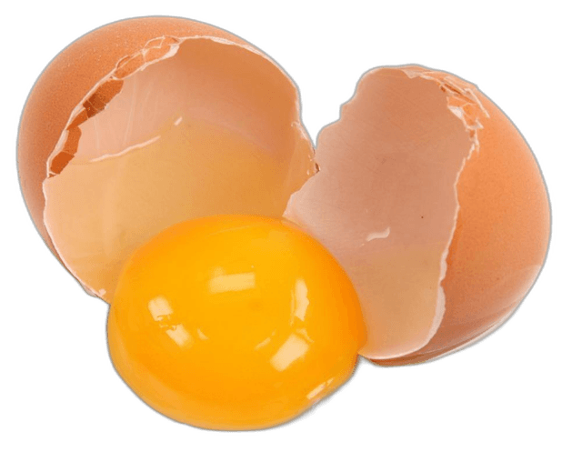 Cracking Chicken Egg