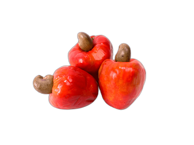 Exotic Red Cashew Fruit