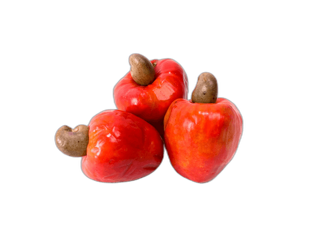 Exotic Red Cashew Fruit