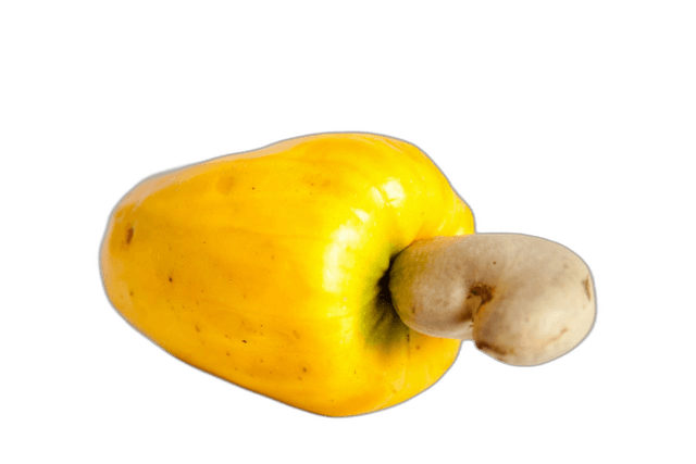 Fresh Yellow Cashew Fruit