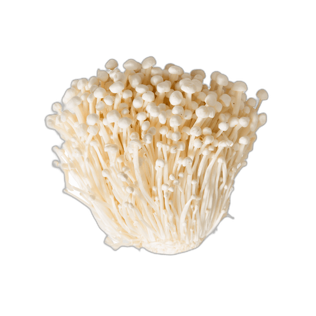 Stunning White Enoki Mushroom