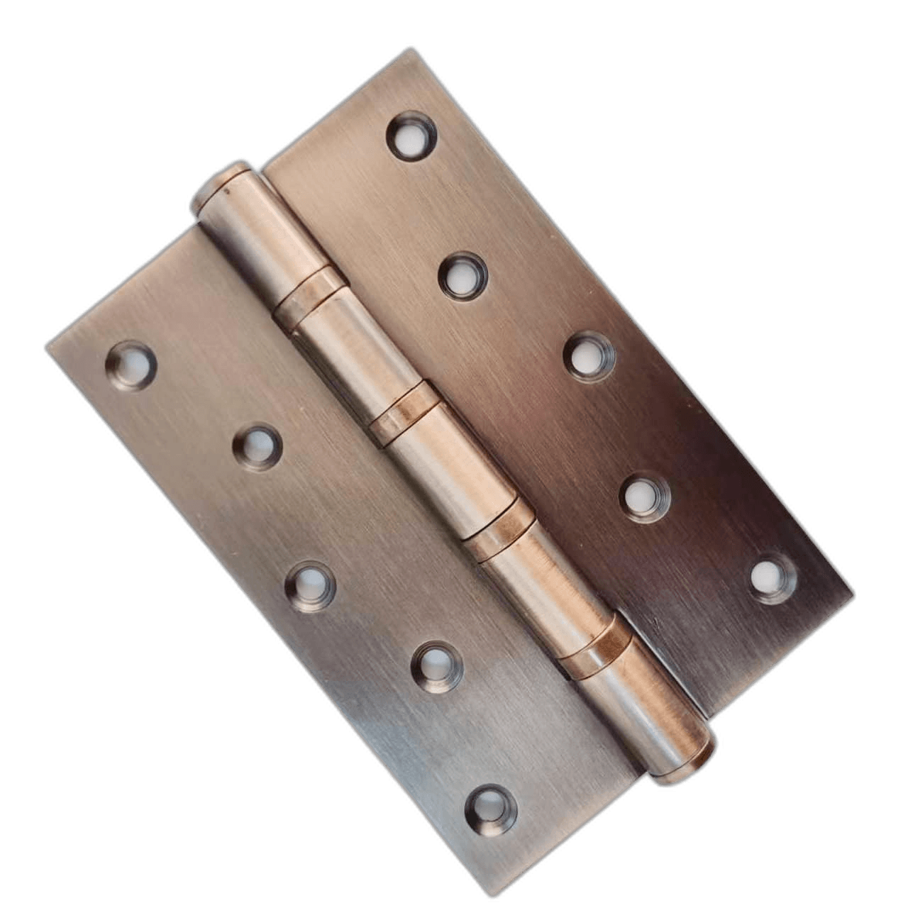 Hinges Stainless Steel Door