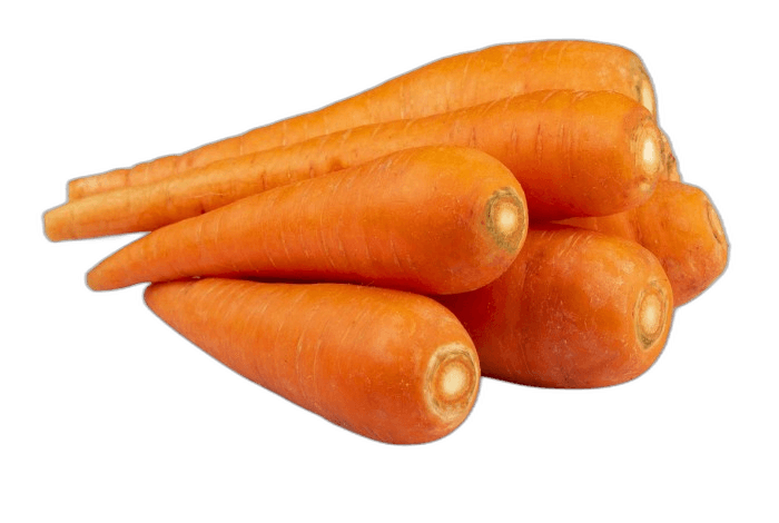 Stunning Orange Carrot