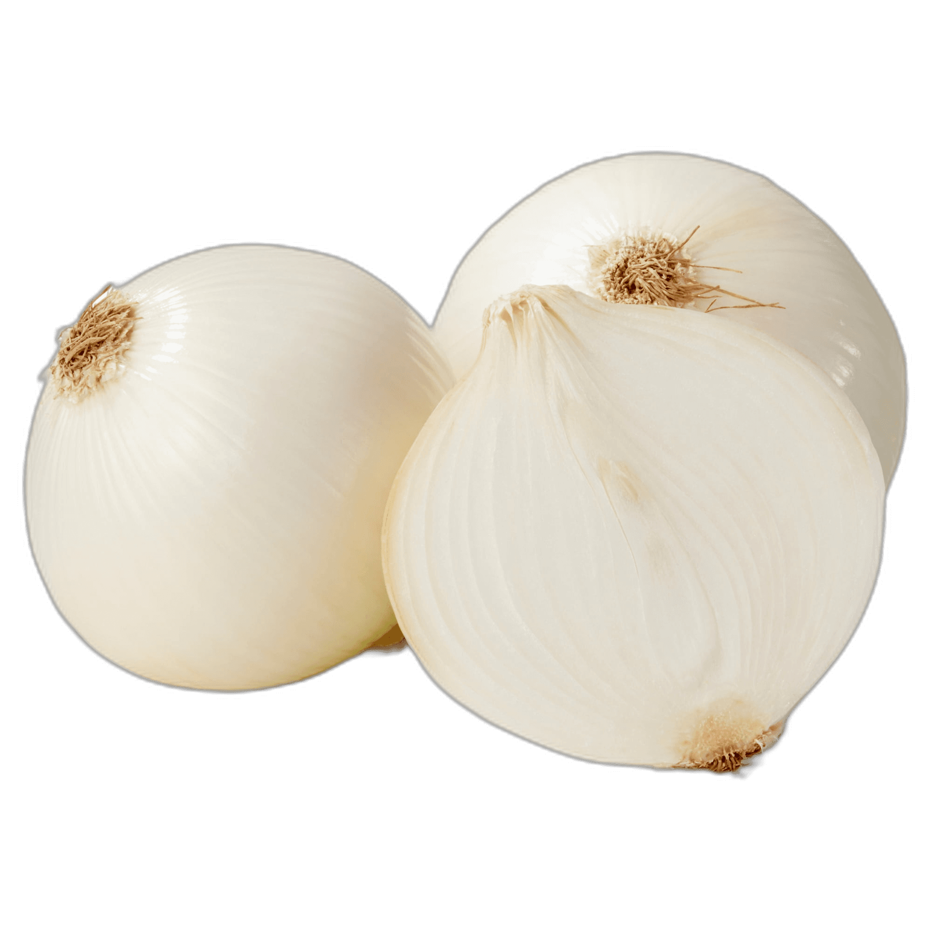 Fresh Organic White Onion