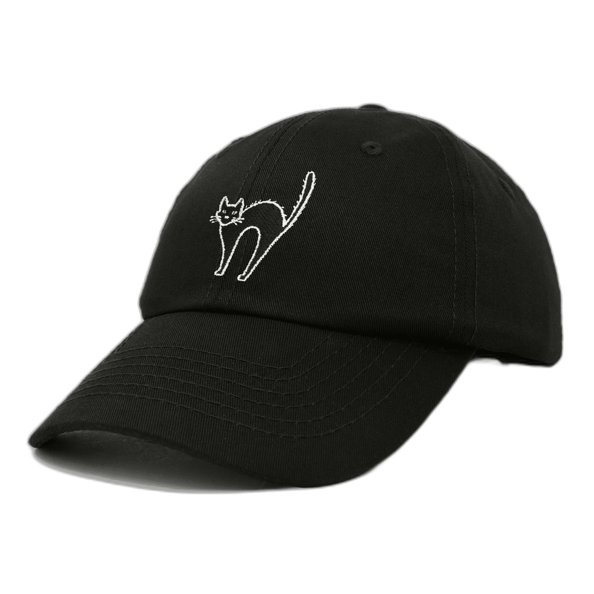 Black Cat Hat Womens For Halloween