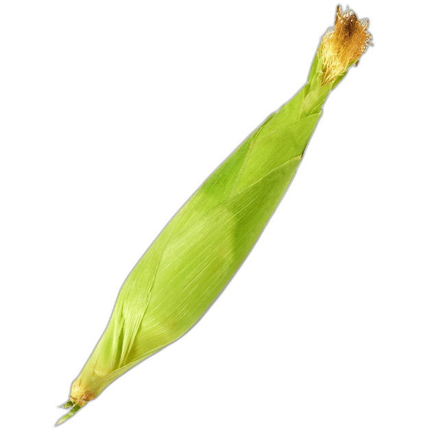 Juicy Yellow Sweet Corn