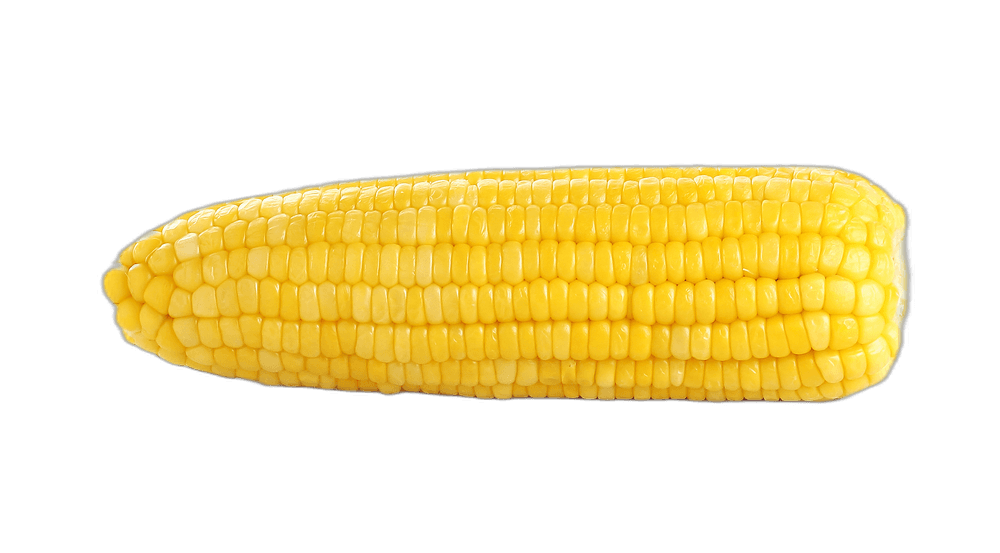 Tasty Yellow Corn Cob