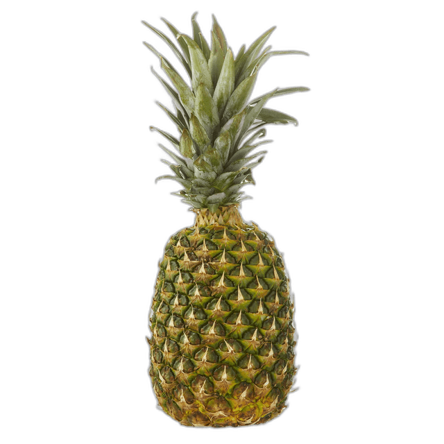 Fresh and Healthy Pineapple Fruit