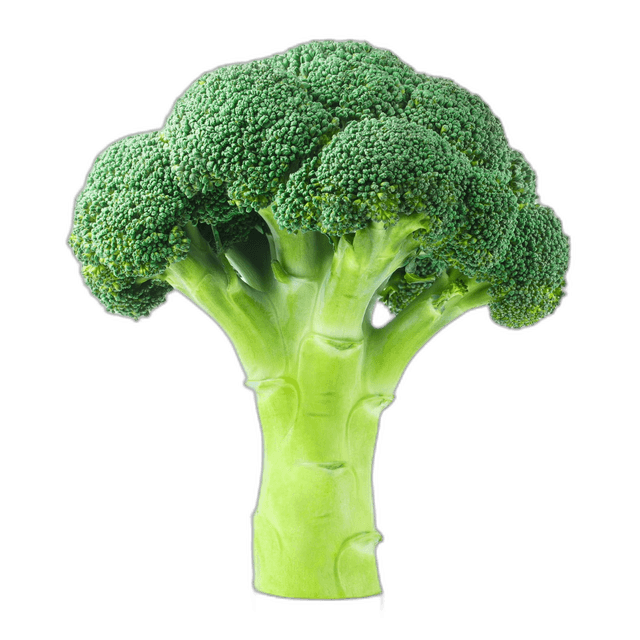 Bright Green Broccoli Bunch Vegetable