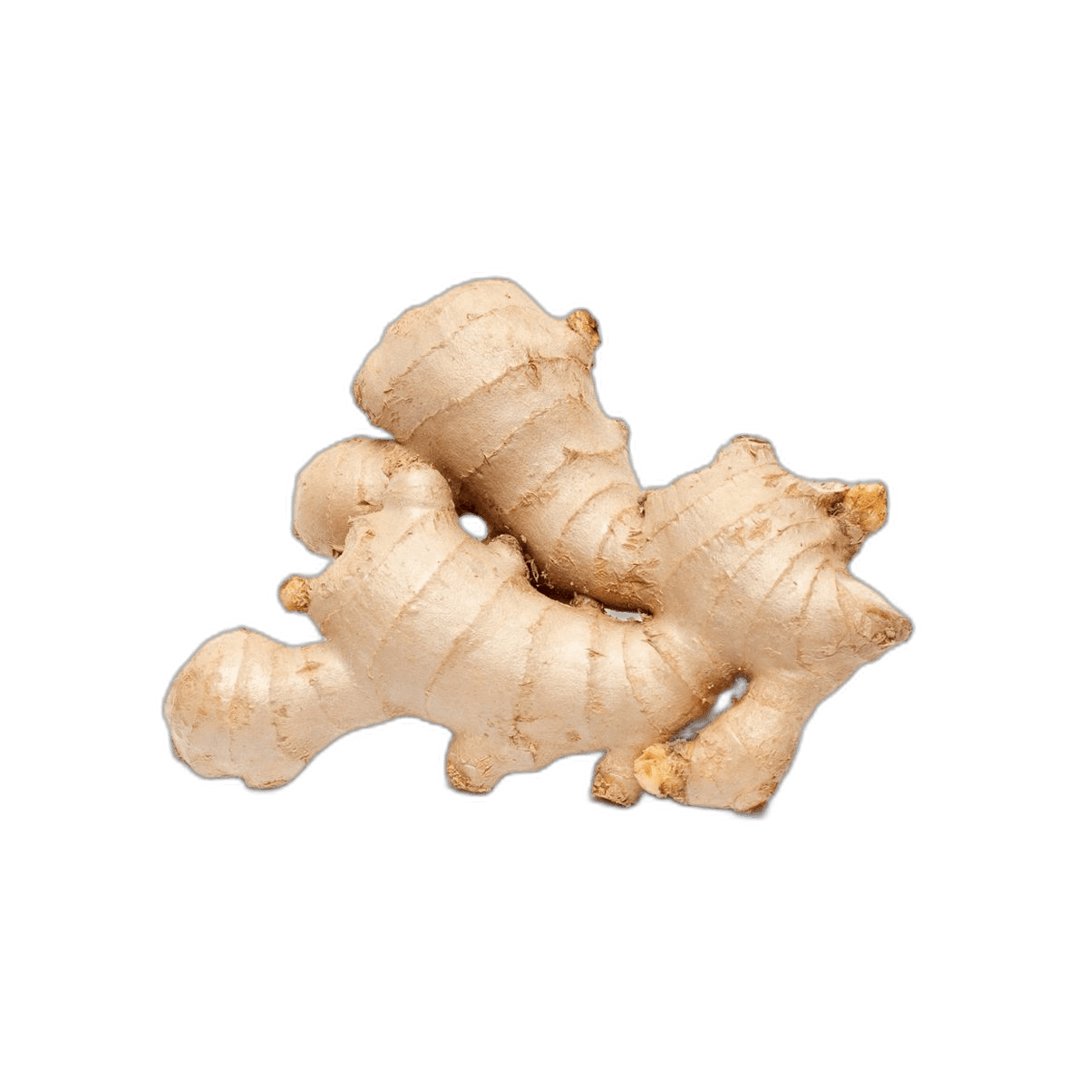 Stunning Ginger Root For Drink