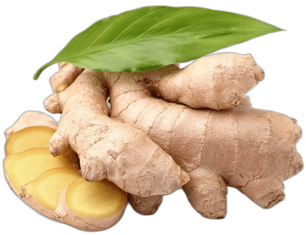 Organic Ginger Root WIth Leaves