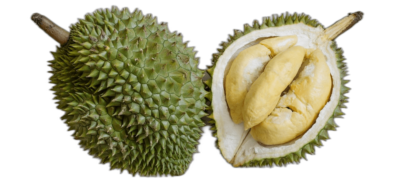 Sweet Durian Fruit With Green Shell