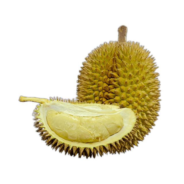 Tasty Yellow Durian Fruit