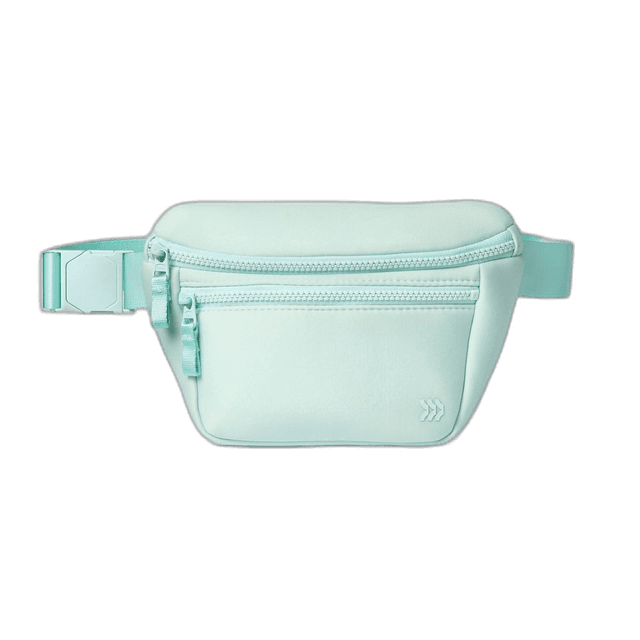 Stunning Mint Belt Bag For Travel