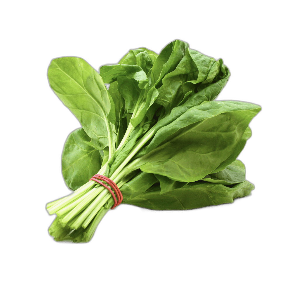 Fresh Organic Spinach For Food