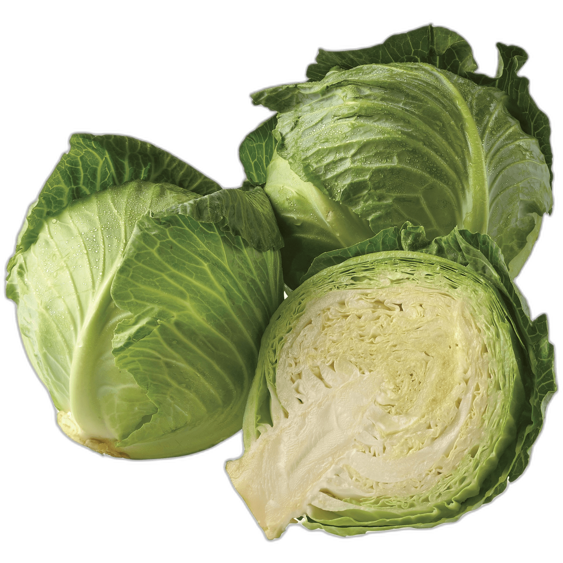 Fresh Sliced Cabbage Vegetable Ideas