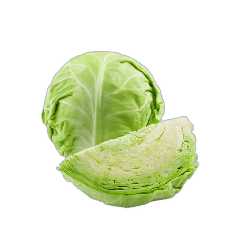 White Green Cabbage Vegetable Ideas