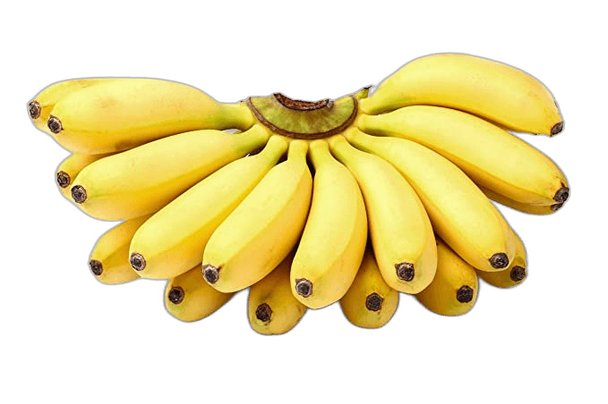 Organic Yellow Banana Fruit Ideas