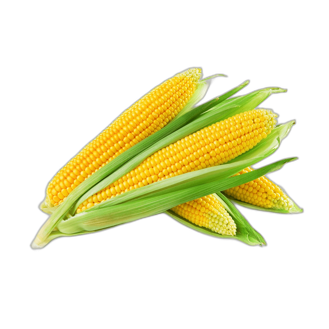 Sweet Corn For Comfort Food