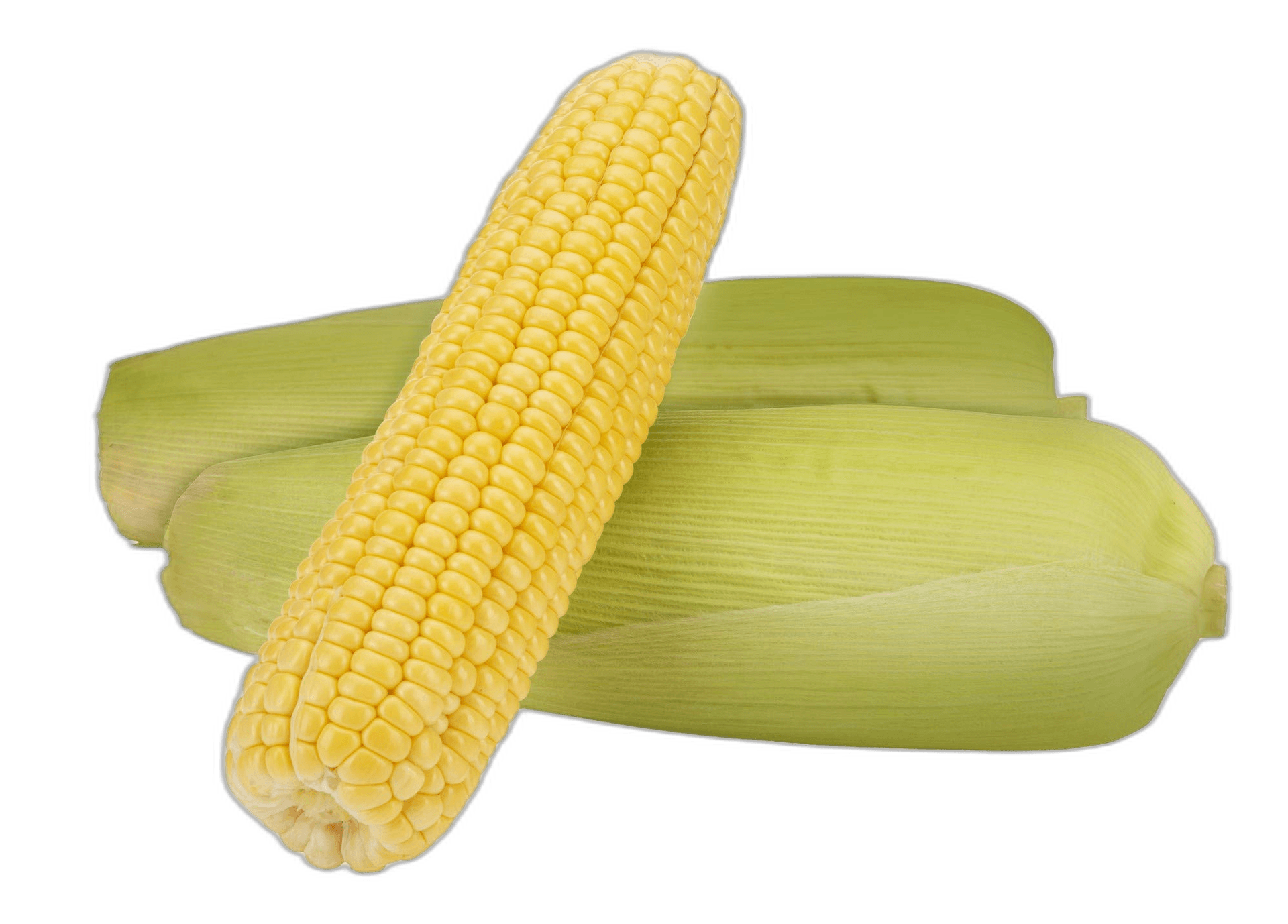 Impressive Yellow Sweet Corn