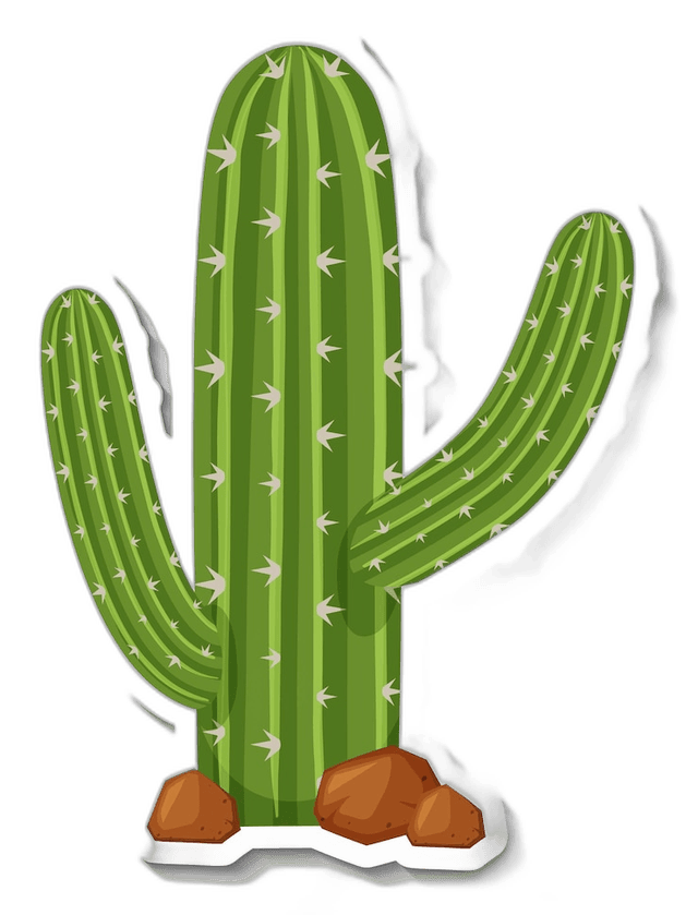 Minimalist Cactus Cartoon Designs